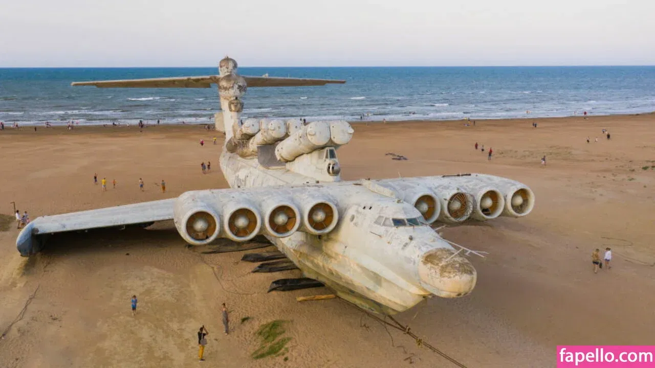 Brandi Sheri Onlyfans Photo Gallery 