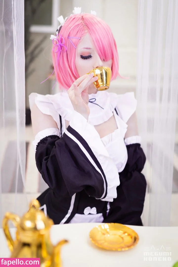 Megumi Koneko Onlyfans Photo Gallery 