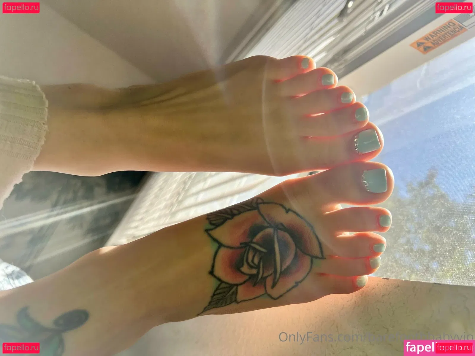 Barefootbbabyvip Onlyfans Photo Gallery 