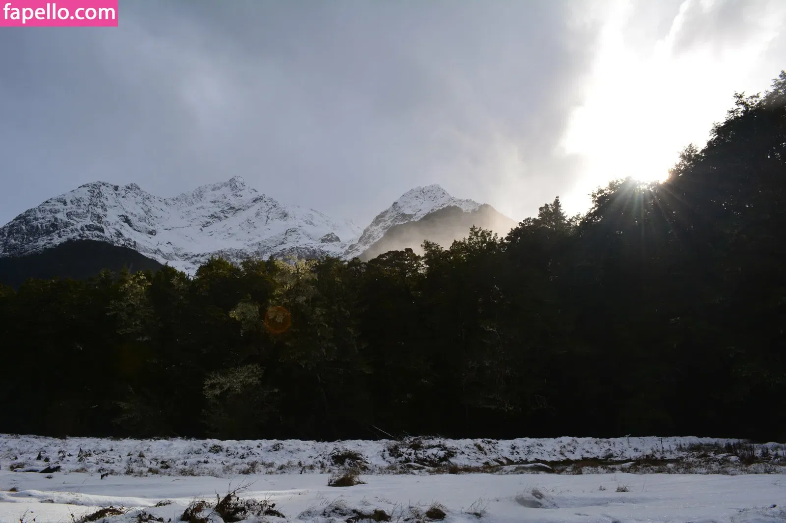 forestnymphnz Onlyfans Photo Gallery 