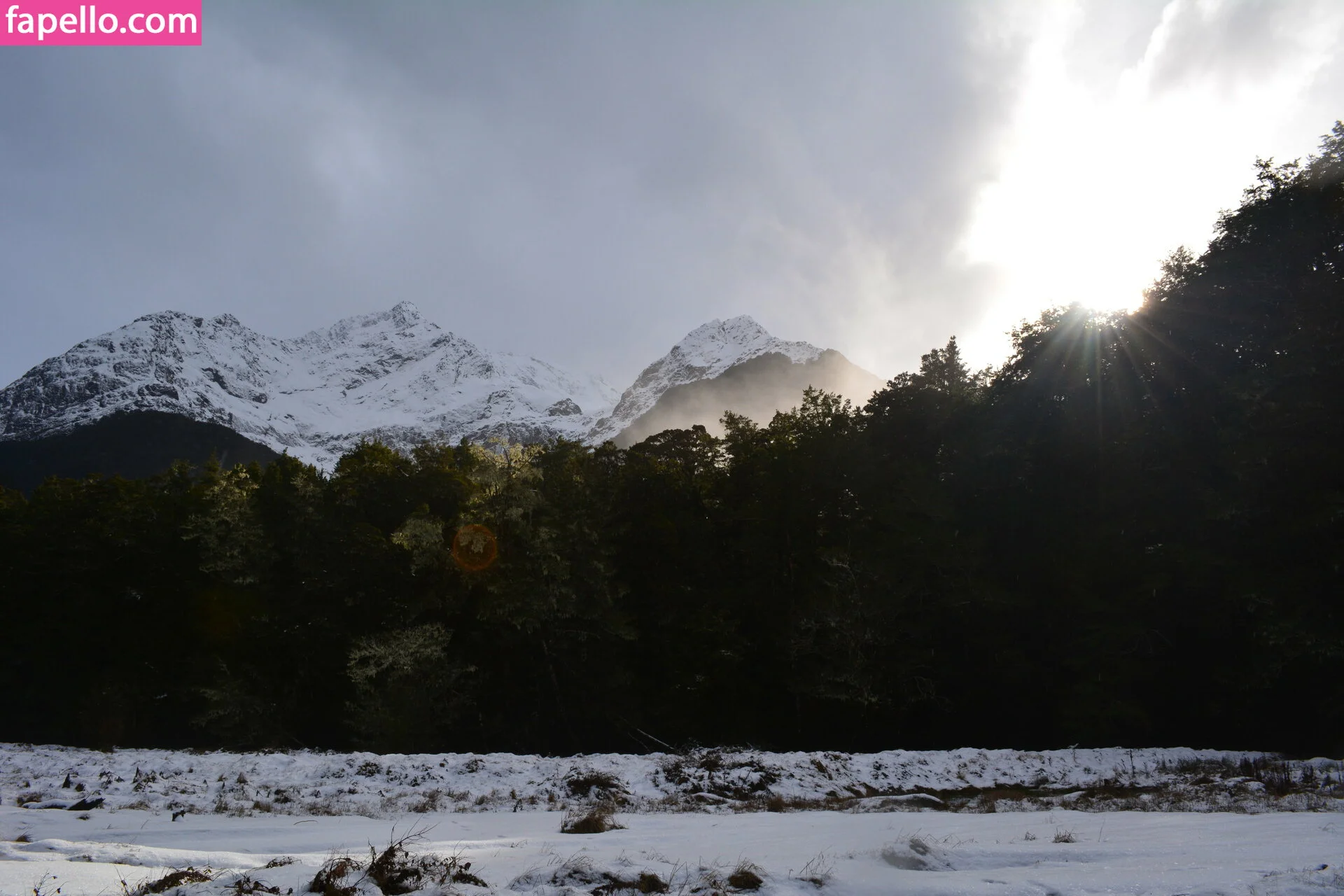 forestnymphnz Onlyfans Photo Gallery 