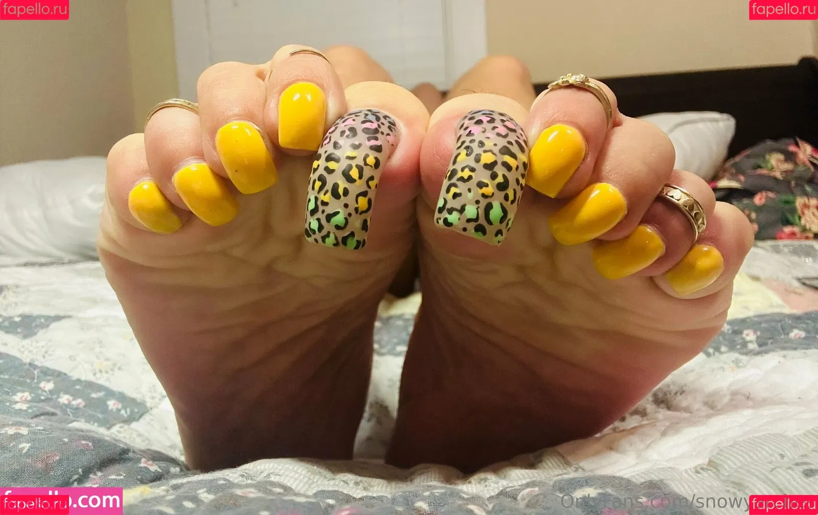 snowyarches Onlyfans Photo Gallery 