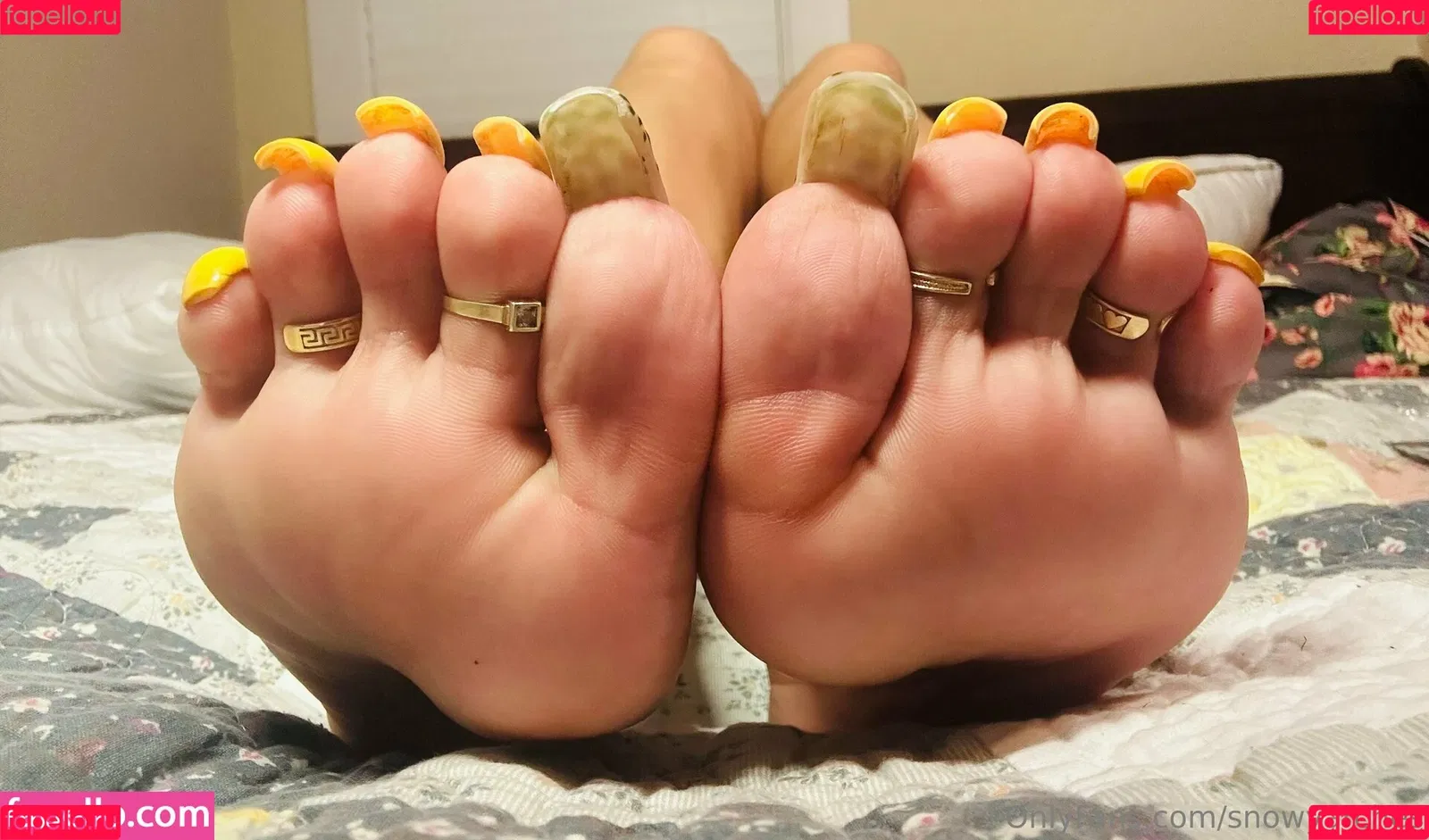 snowyarches Onlyfans Photo Gallery 