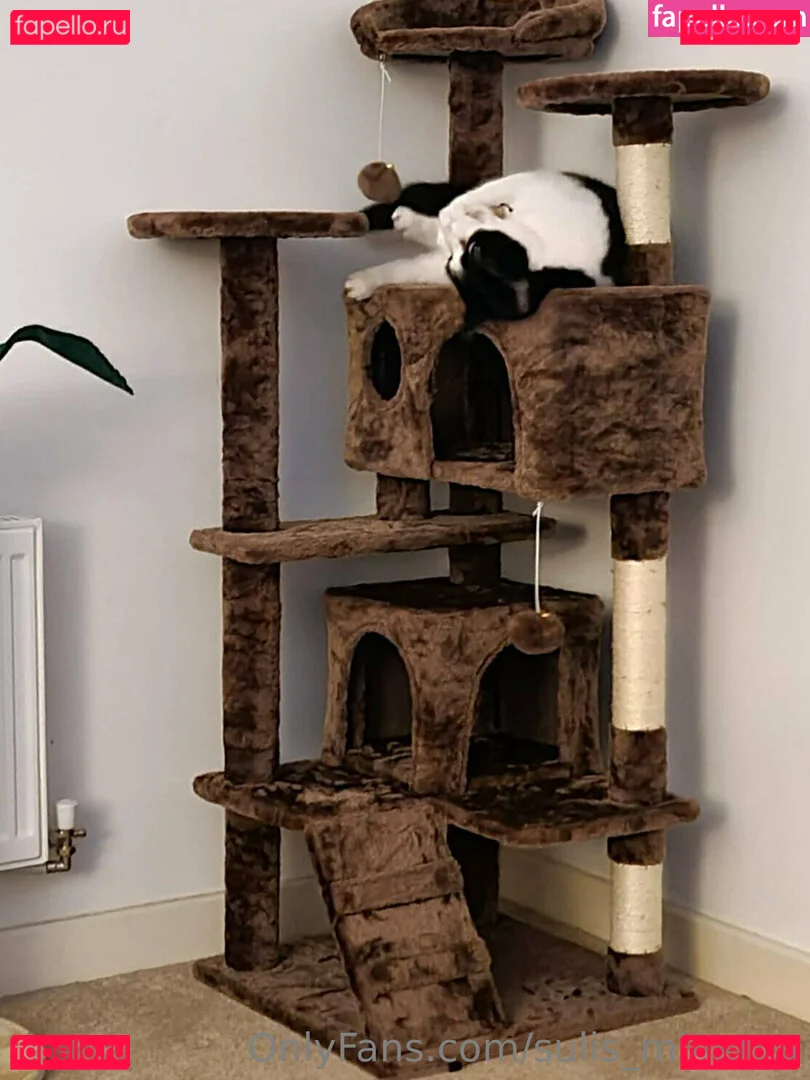 sulis_minerva Onlyfans Photo Gallery 