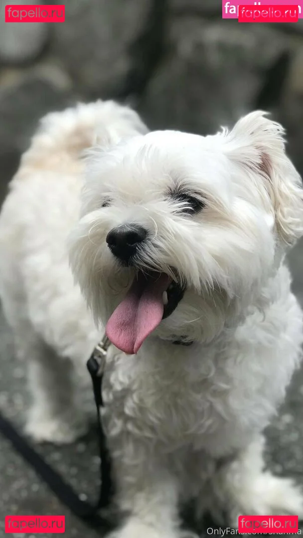 shanma Onlyfans Photo Gallery 