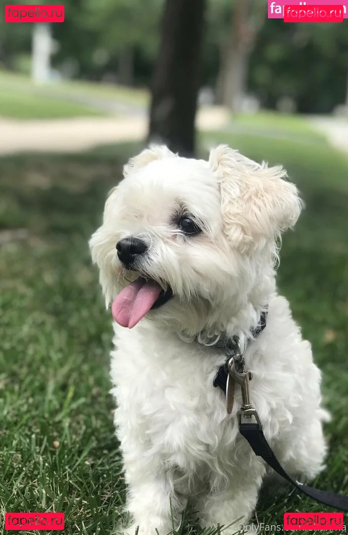 shanma Onlyfans Photo Gallery 