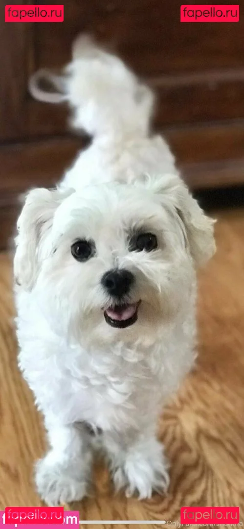 shanma Onlyfans Photo Gallery 