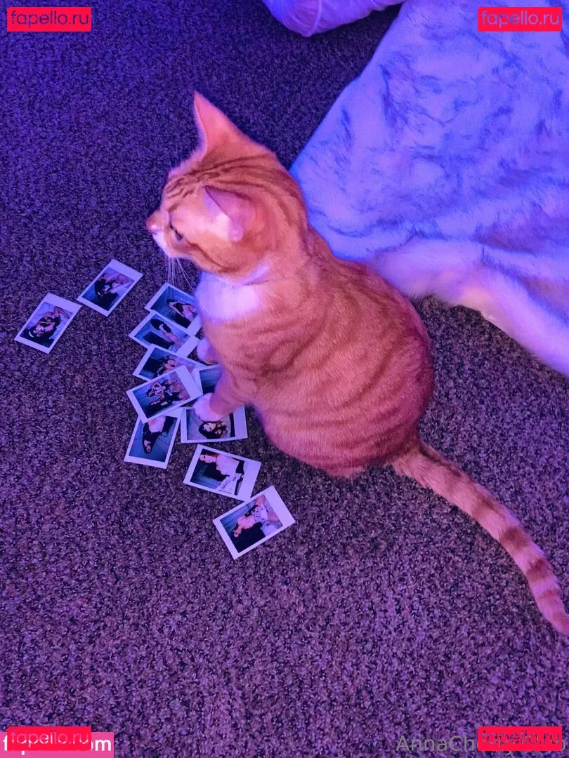 annacherrylive Onlyfans Photo Gallery 