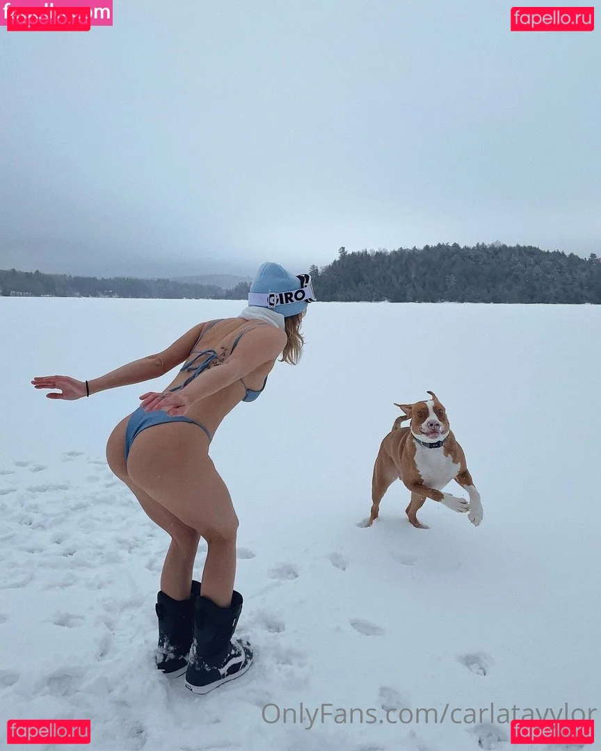 Carla Taylor Onlyfans Photo Gallery 