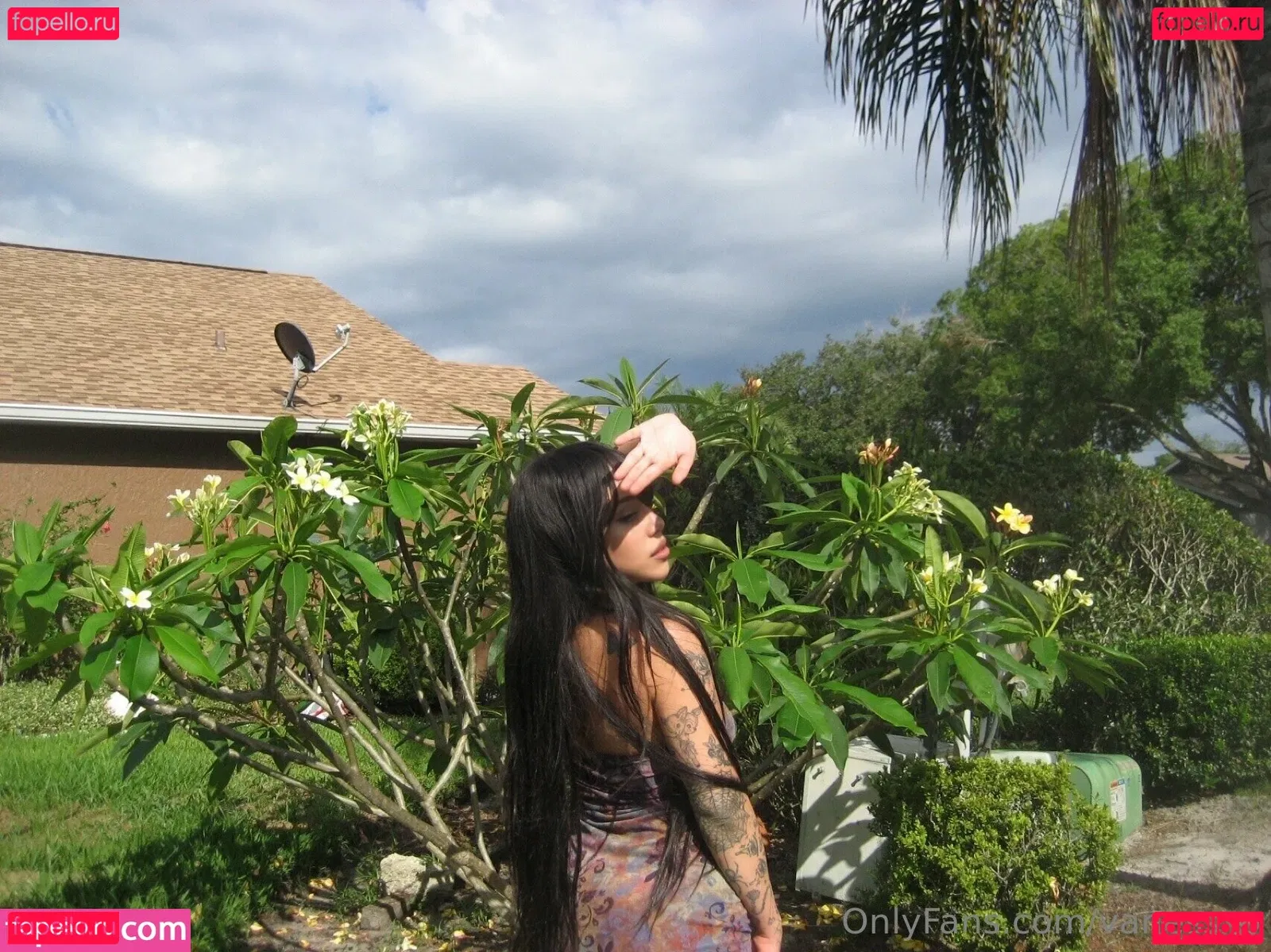 Vanessxo Onlyfans Photo Gallery 