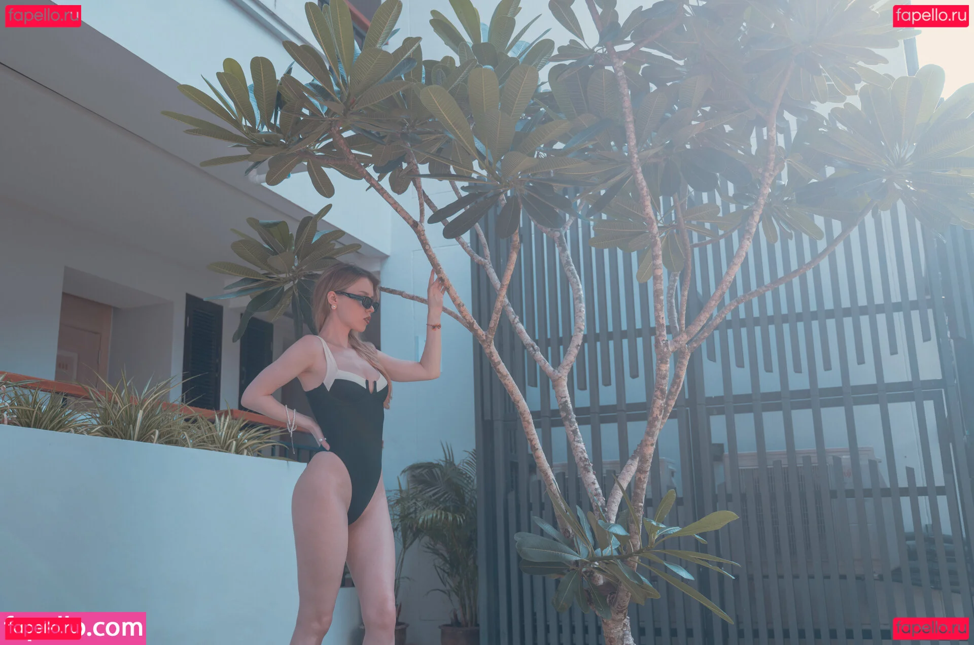 Mood Asmr Onlyfans Photo Gallery 