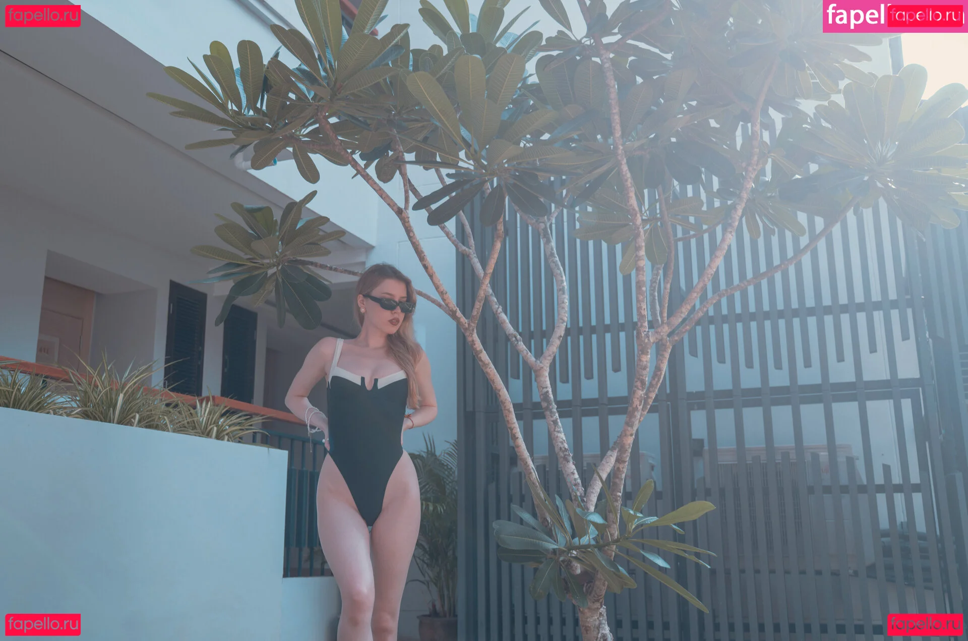 Mood Asmr Onlyfans Photo Gallery 