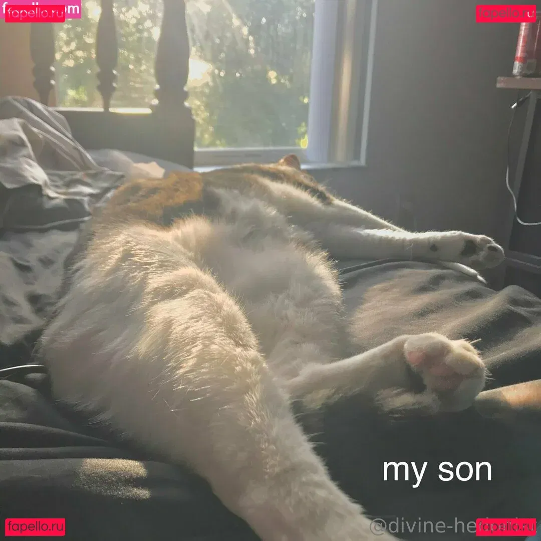 divine-hedonist-free Onlyfans Photo Gallery 