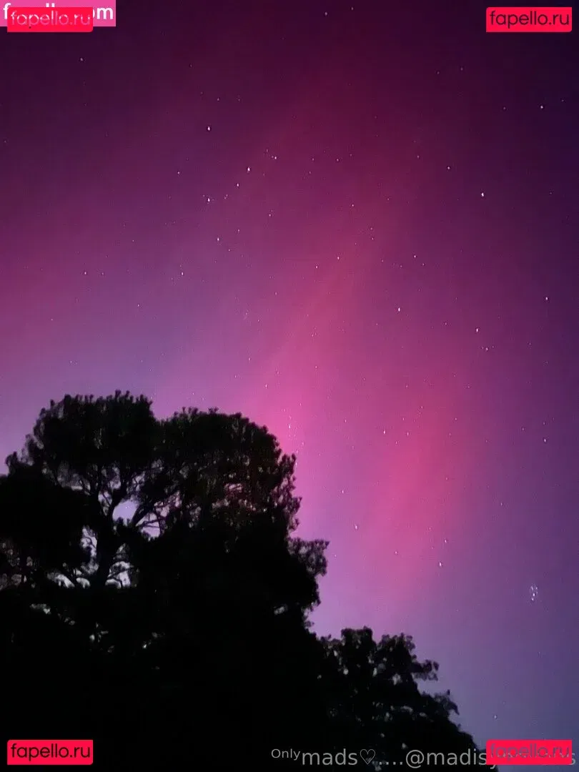 madisynevans Onlyfans Photo Gallery 