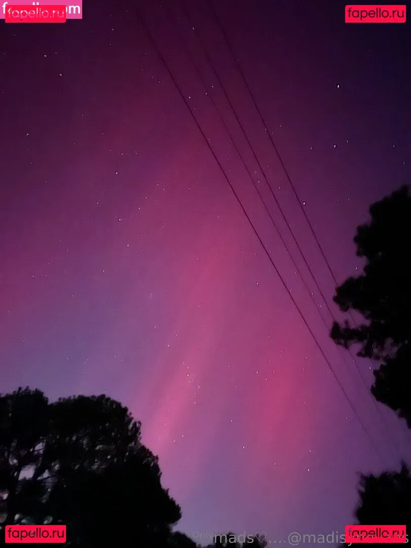 madisynevans Onlyfans Photo Gallery 