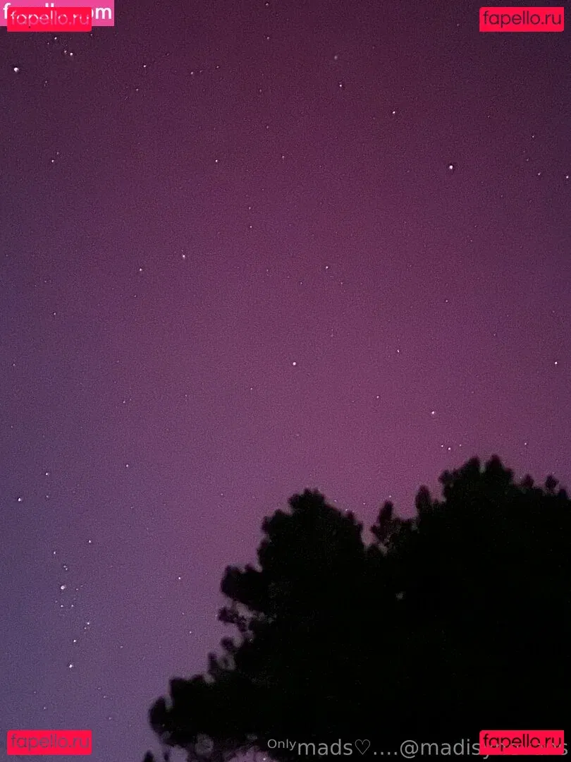 madisynevans Onlyfans Photo Gallery 