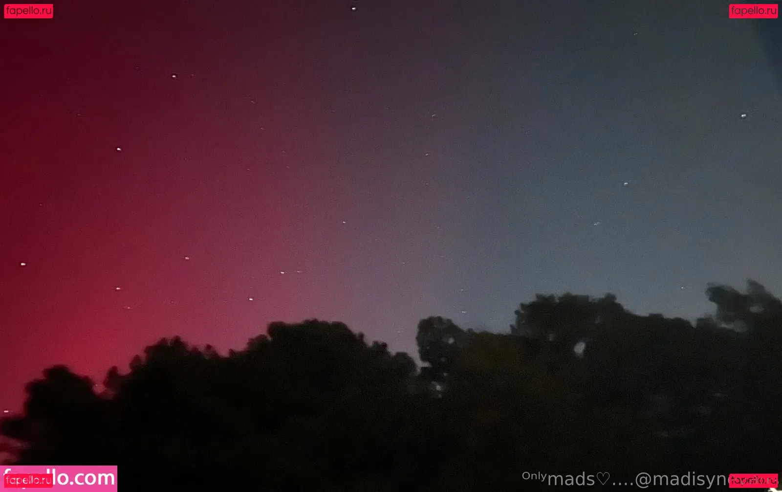 madisynevans Onlyfans Photo Gallery 