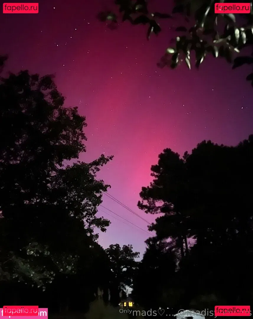 madisynevans Onlyfans Photo Gallery 