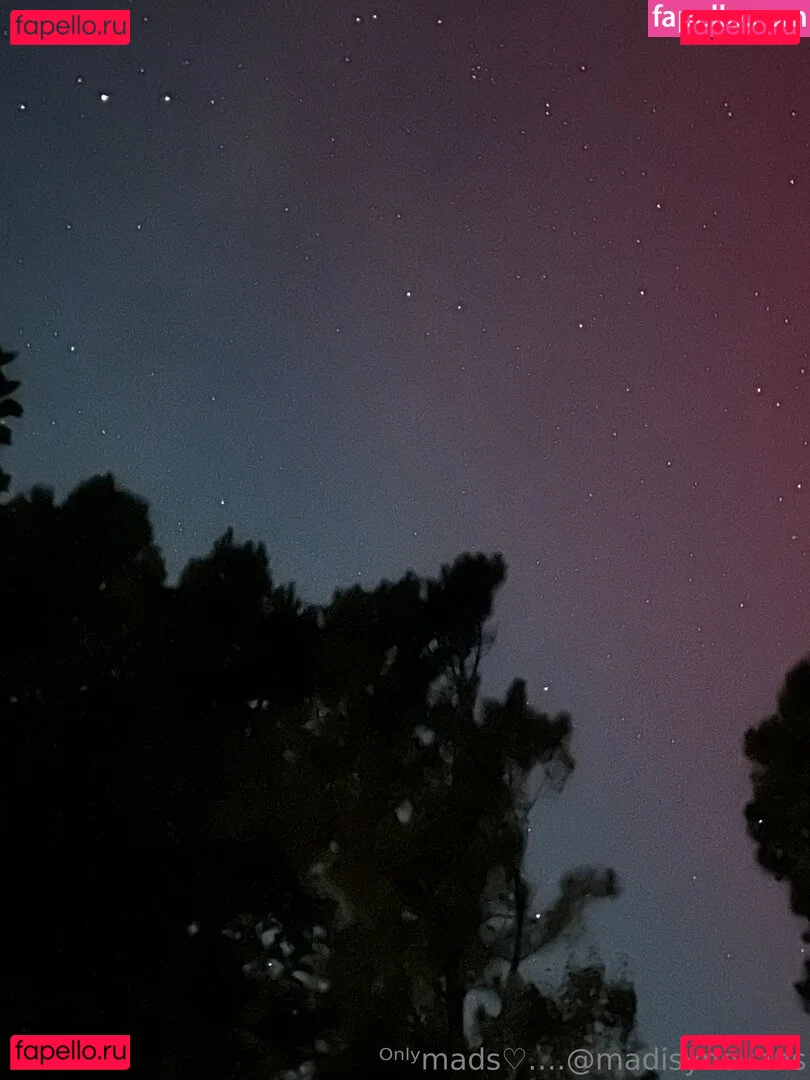 madisynevans Onlyfans Photo Gallery 