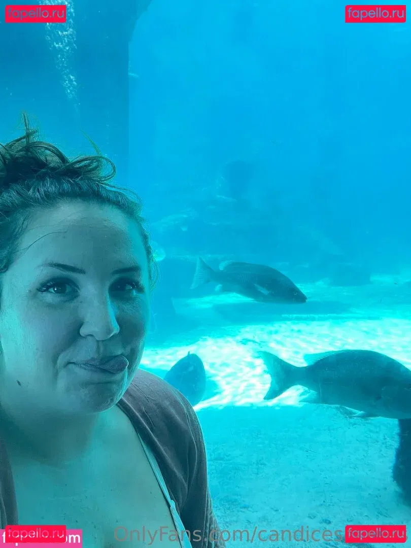 candicescurves Onlyfans Photo Gallery 