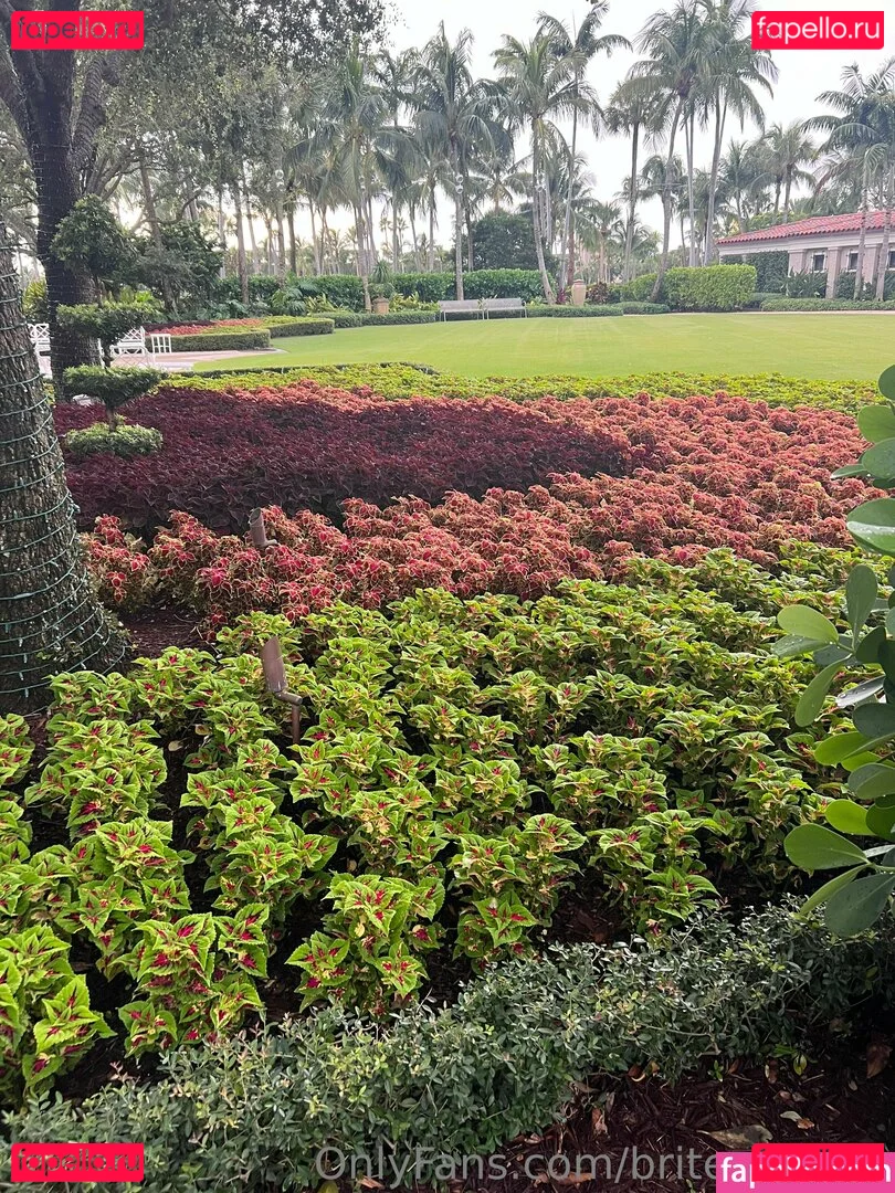 briteresifree Onlyfans Photo Gallery 