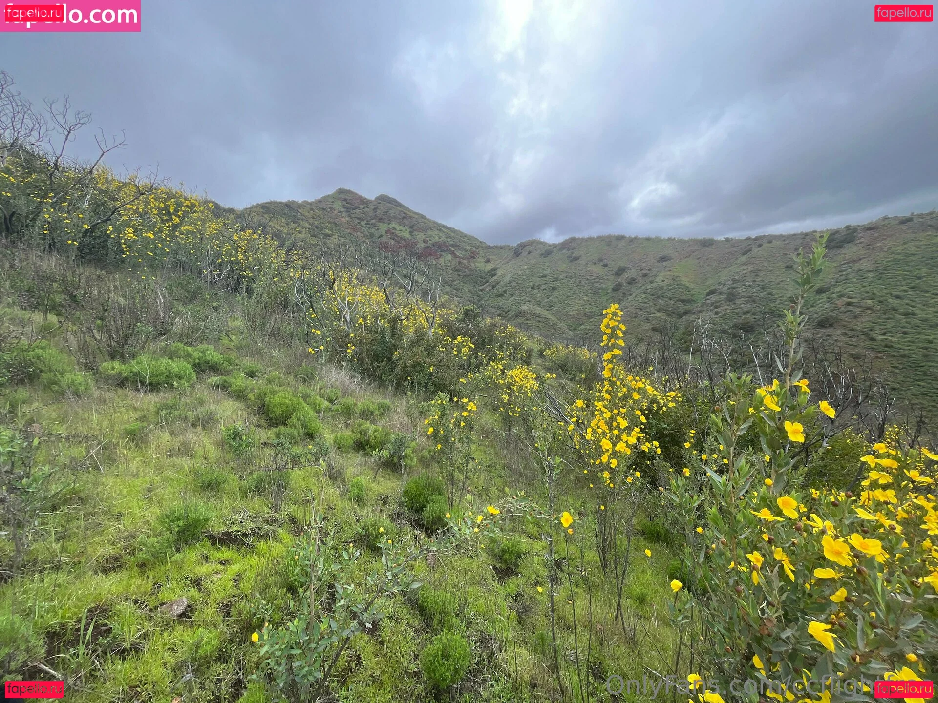 ccflightfree Onlyfans Photo Gallery 