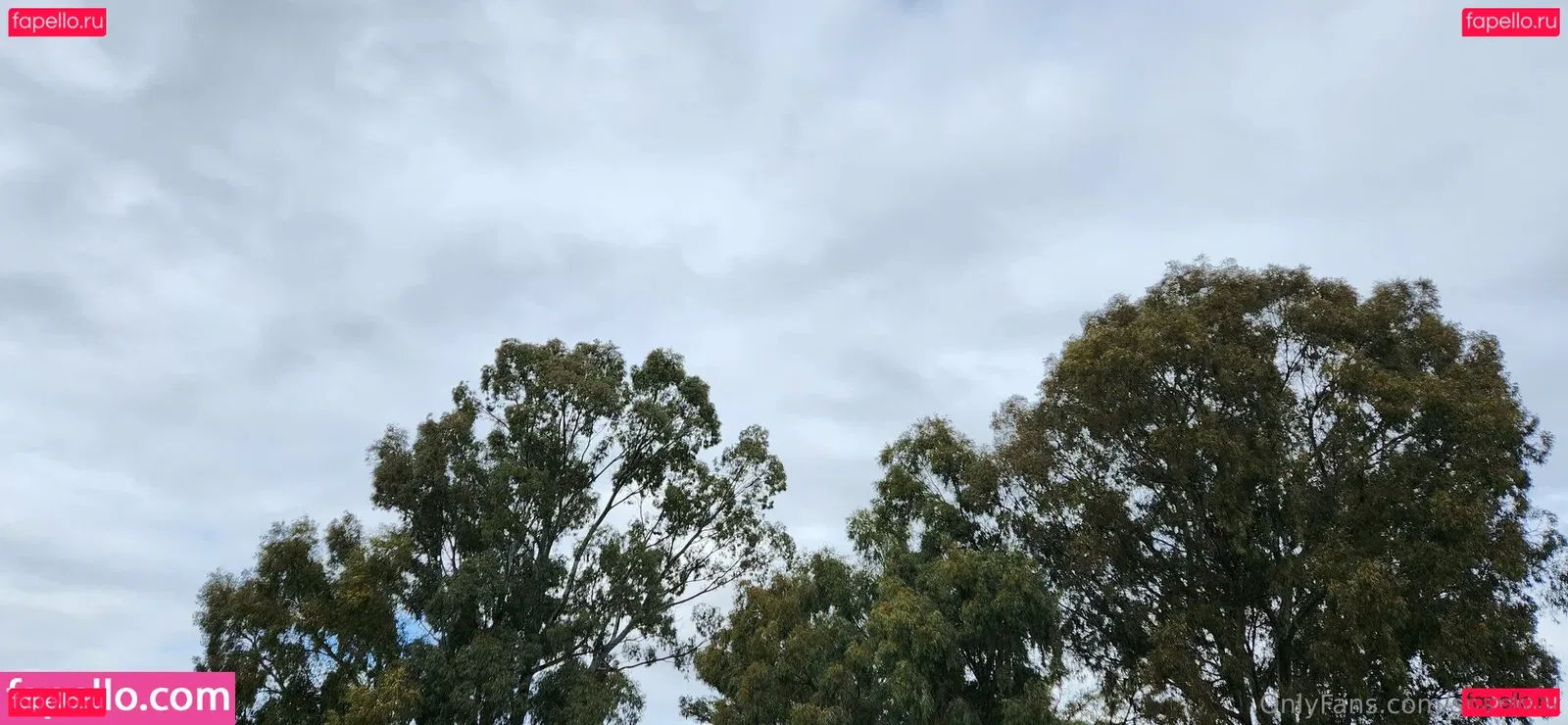 snacksixfree Onlyfans Photo Gallery 