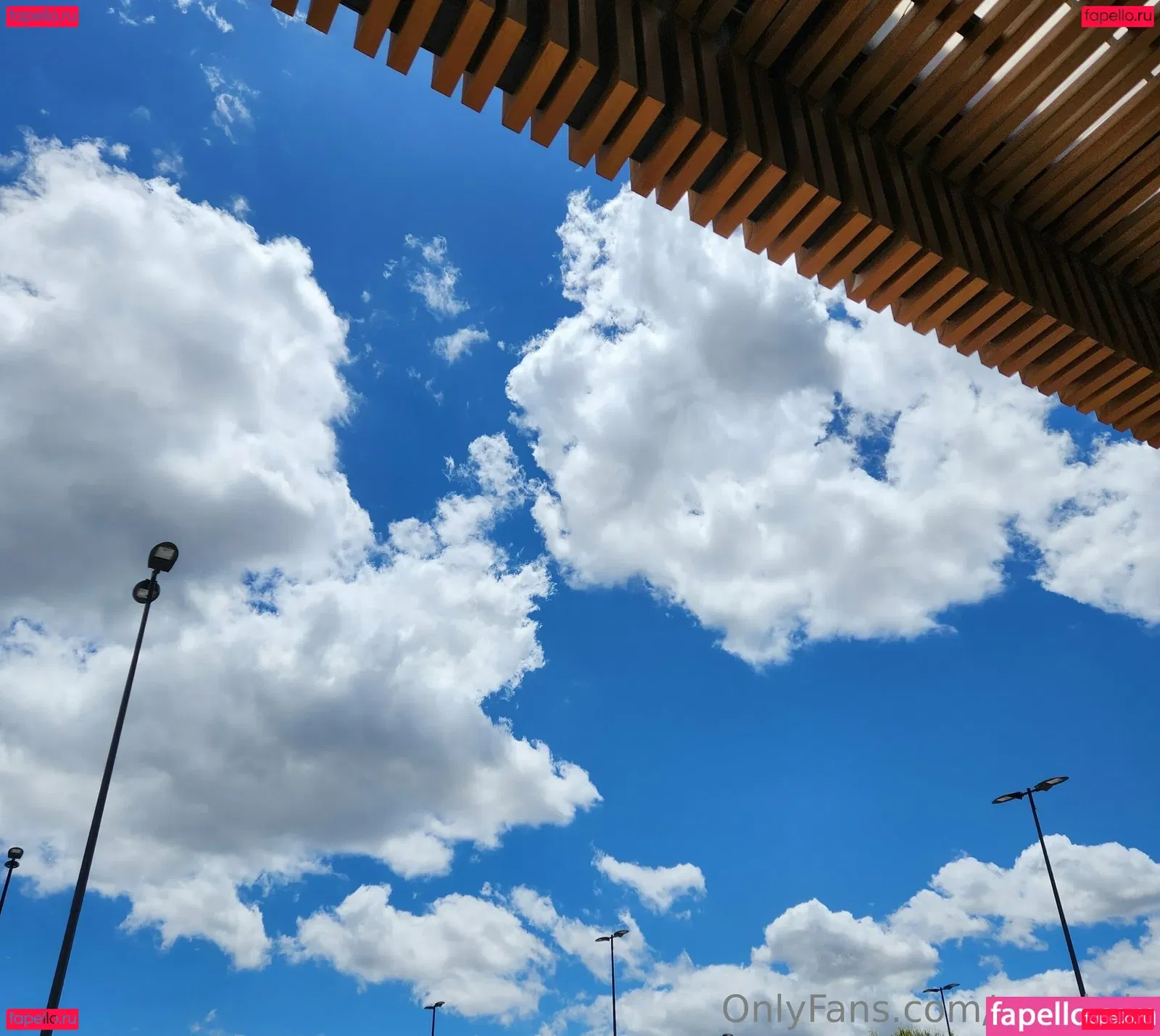 snacksixfree Onlyfans Photo Gallery 