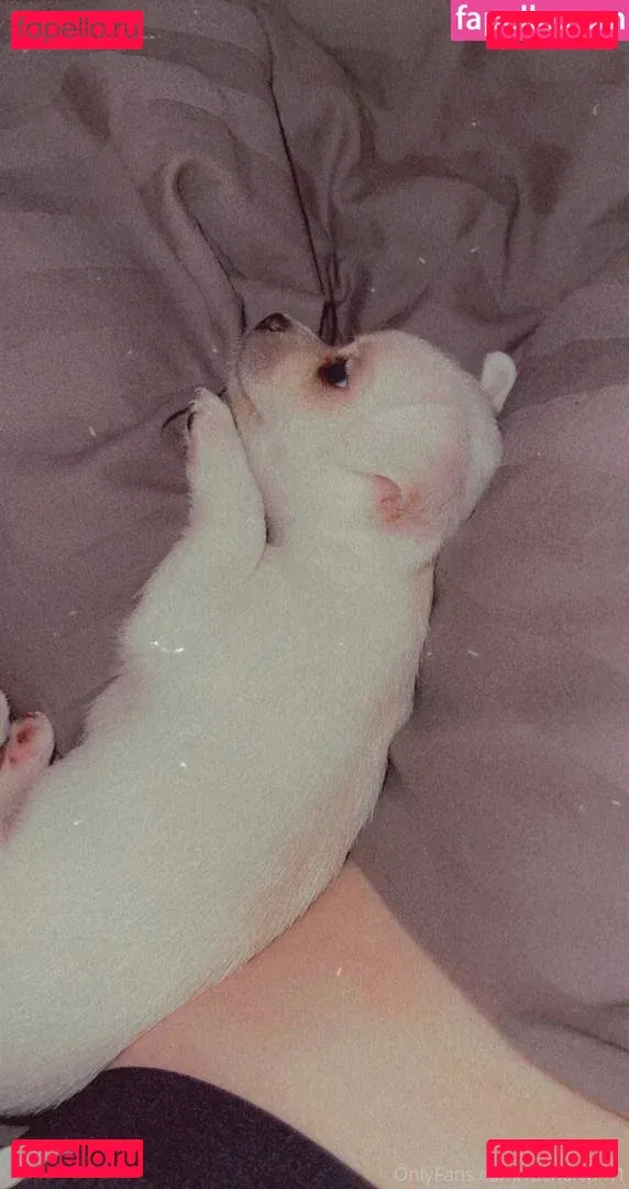 rachelcum1 Onlyfans Photo Gallery 