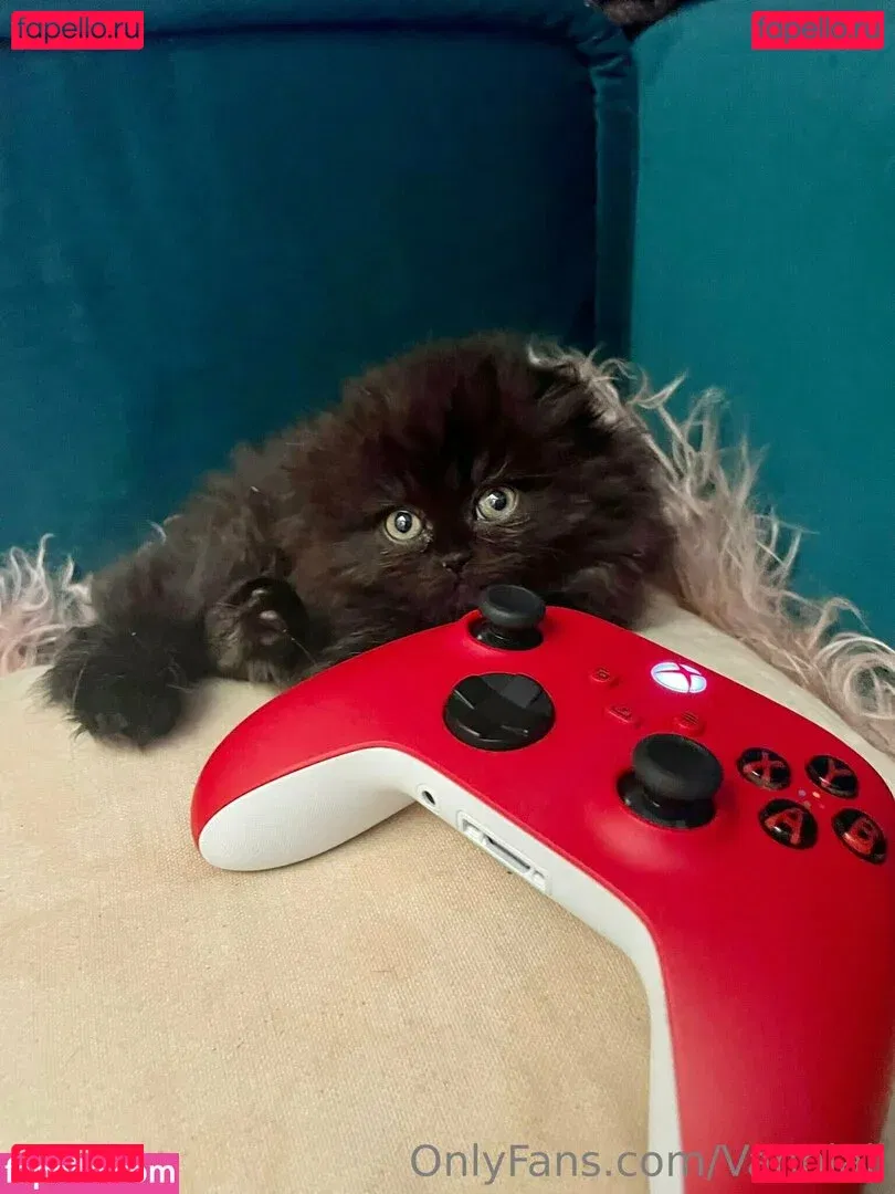 vanniallfree Onlyfans Photo Gallery 