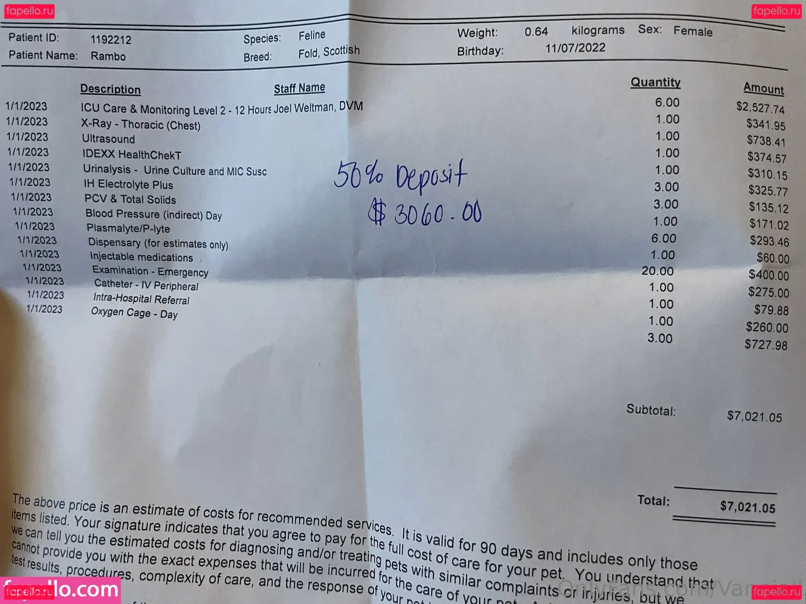 vanniallfree Onlyfans Photo Gallery 