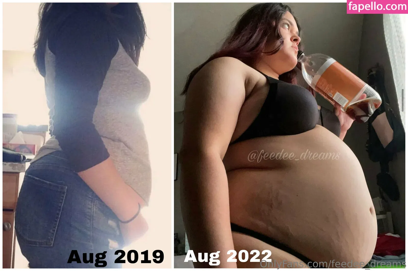 feedee_dreams Onlyfans Photo Gallery 