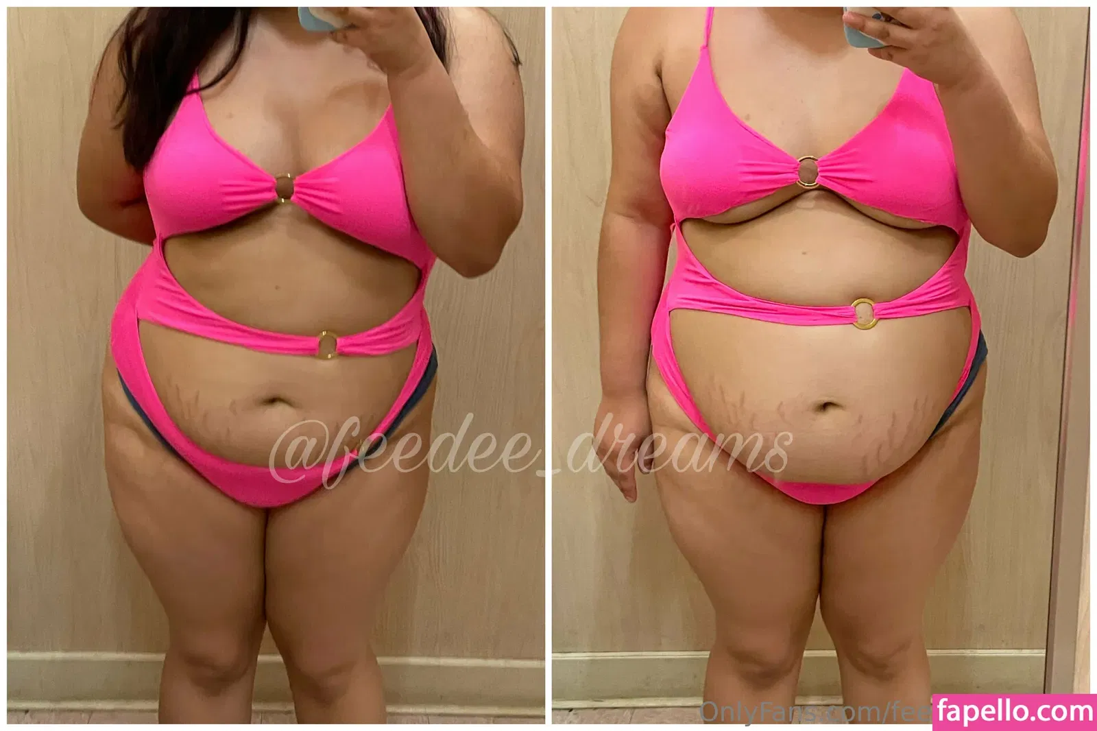 feedee_dreams Onlyfans Photo Gallery 