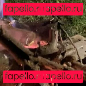 barbora99 Onlyfans Photo Gallery 