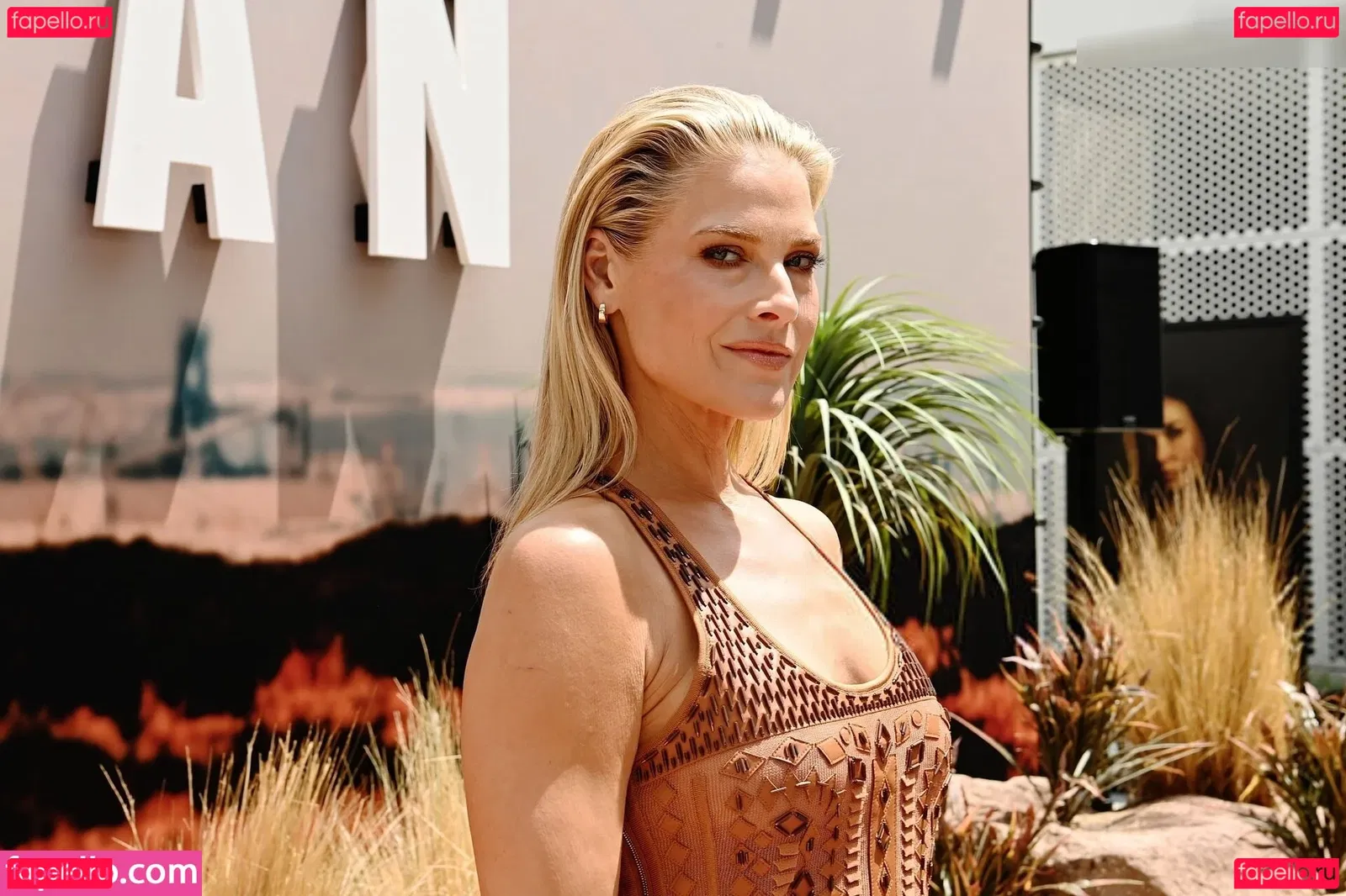 Ali Larter Onlyfans Photo Gallery 