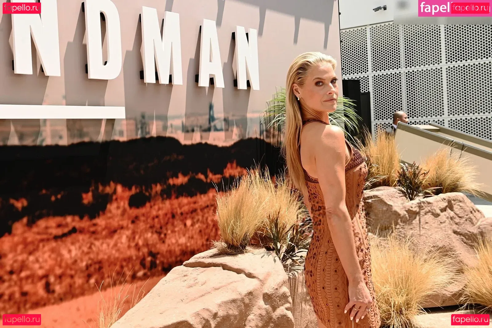 Ali Larter Onlyfans Photo Gallery 