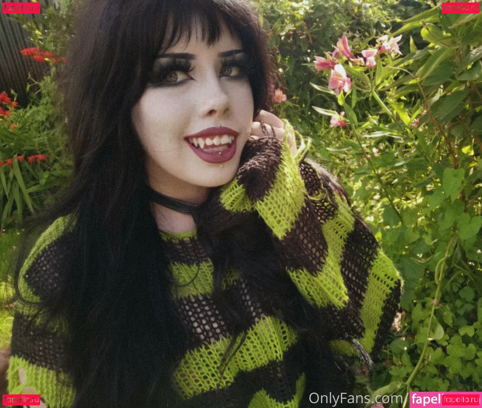 morguecat Onlyfans Photo Gallery 