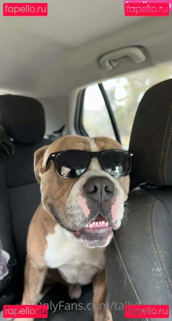 tallielorain Onlyfans Photo Gallery 