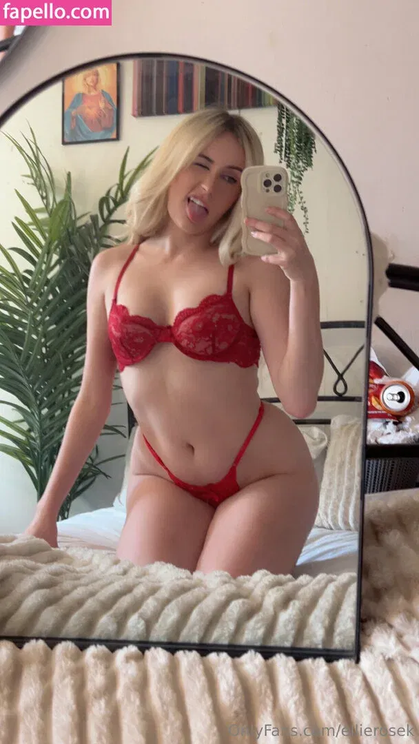 Ellierosek Onlyfans Photo Gallery 