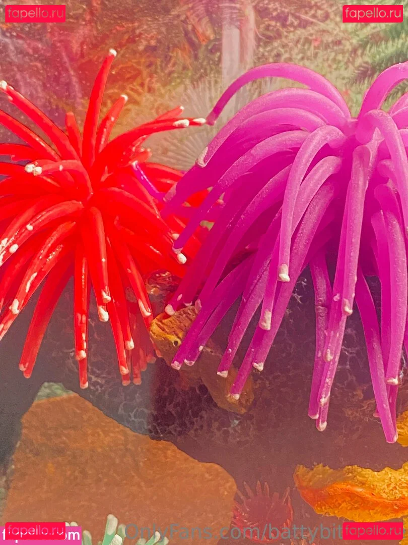 battybitxxfree Onlyfans Photo Gallery 