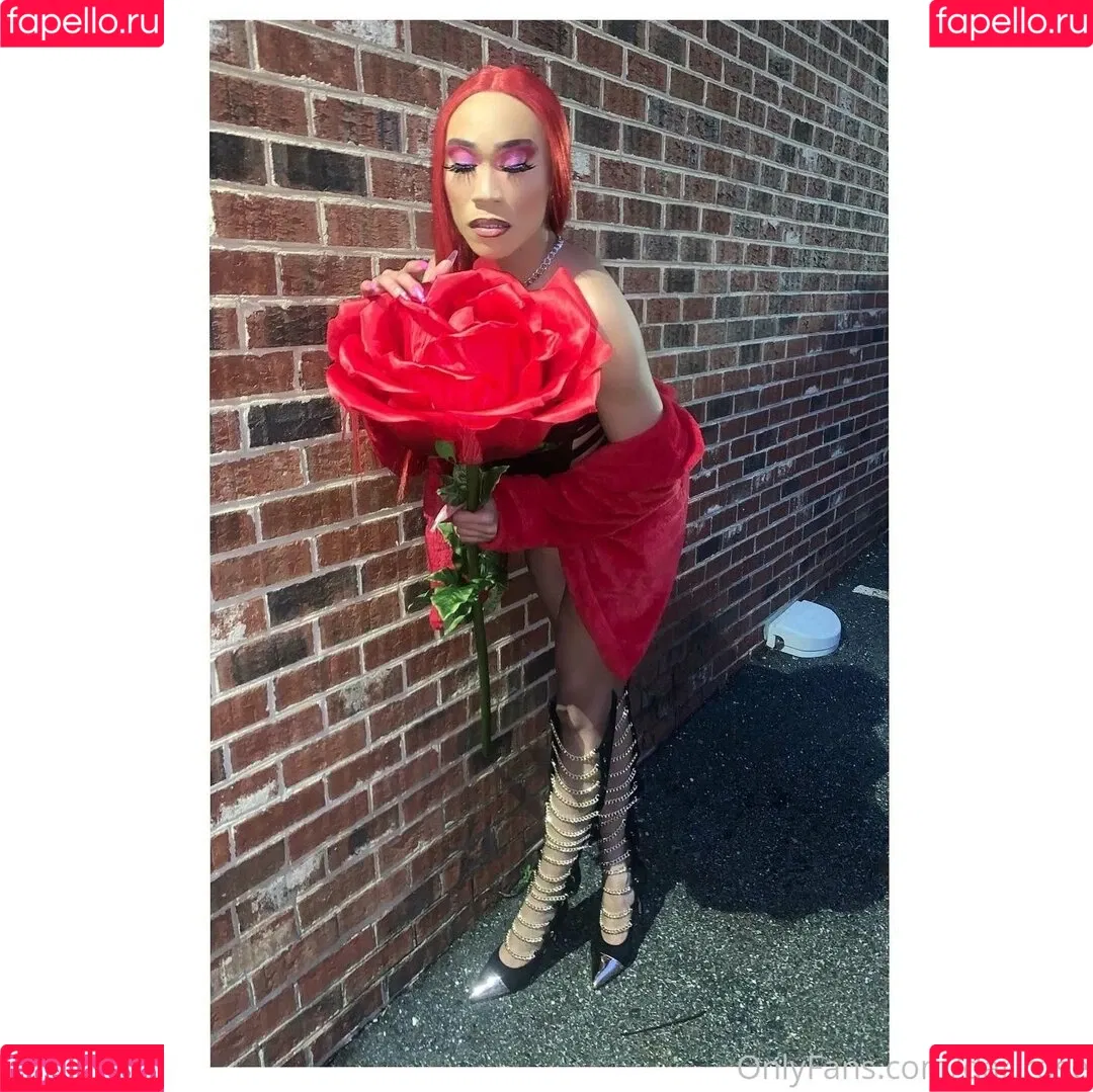 darirose Onlyfans Photo Gallery 