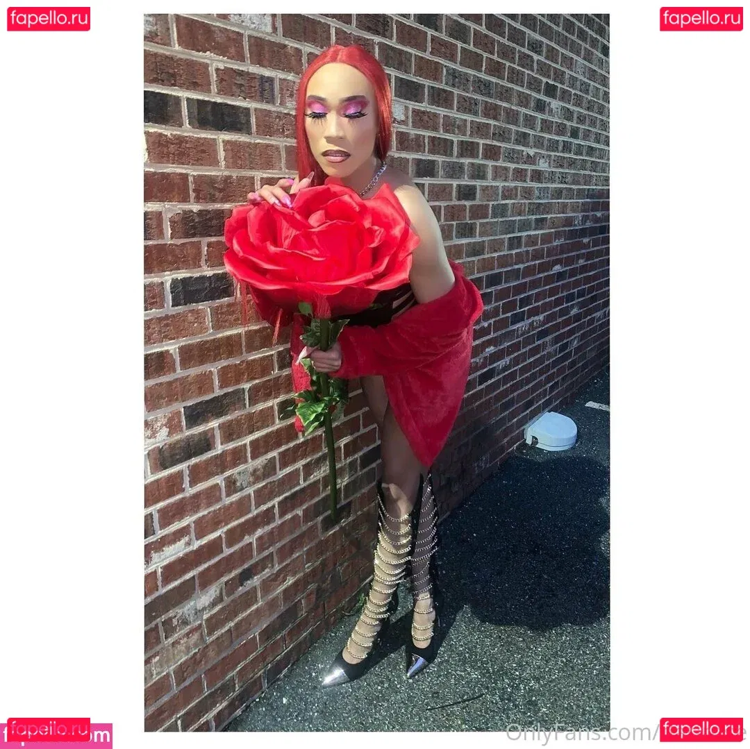 darirose Onlyfans Photo Gallery 