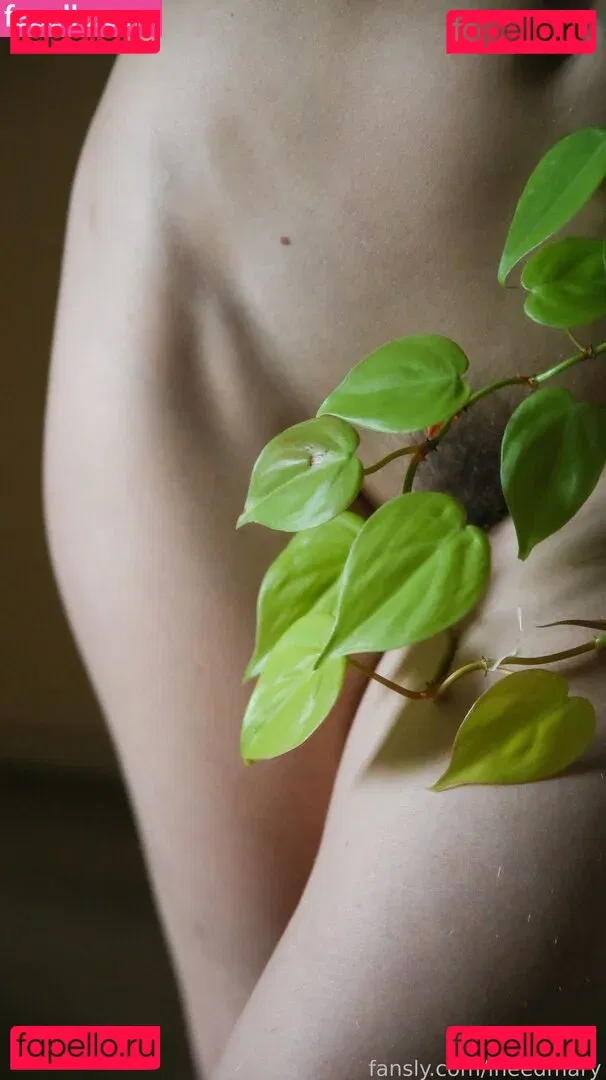 ineedmary Onlyfans Photo Gallery 