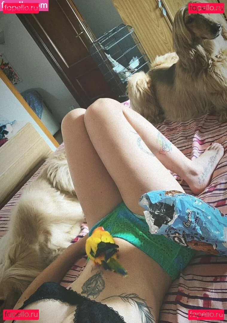 MidoriShake Onlyfans Photo Gallery 