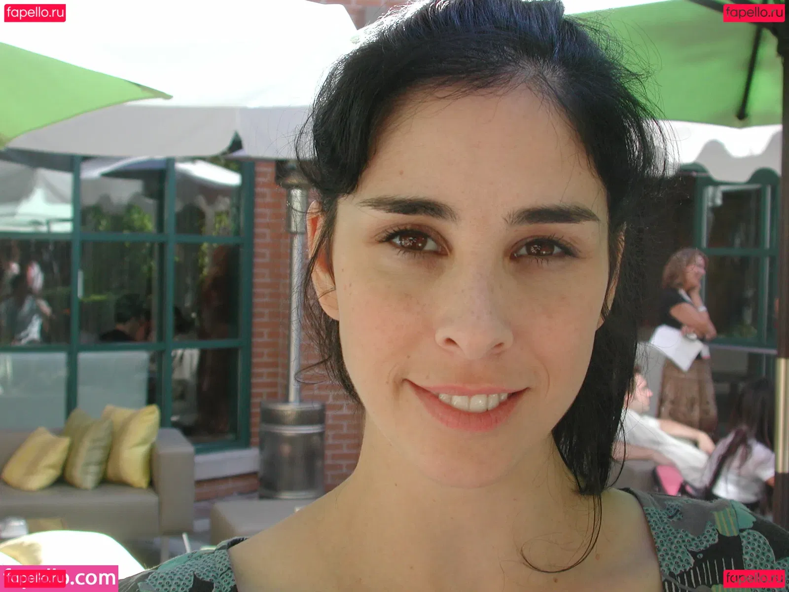 Sarah Silverman Onlyfans Photo Gallery 