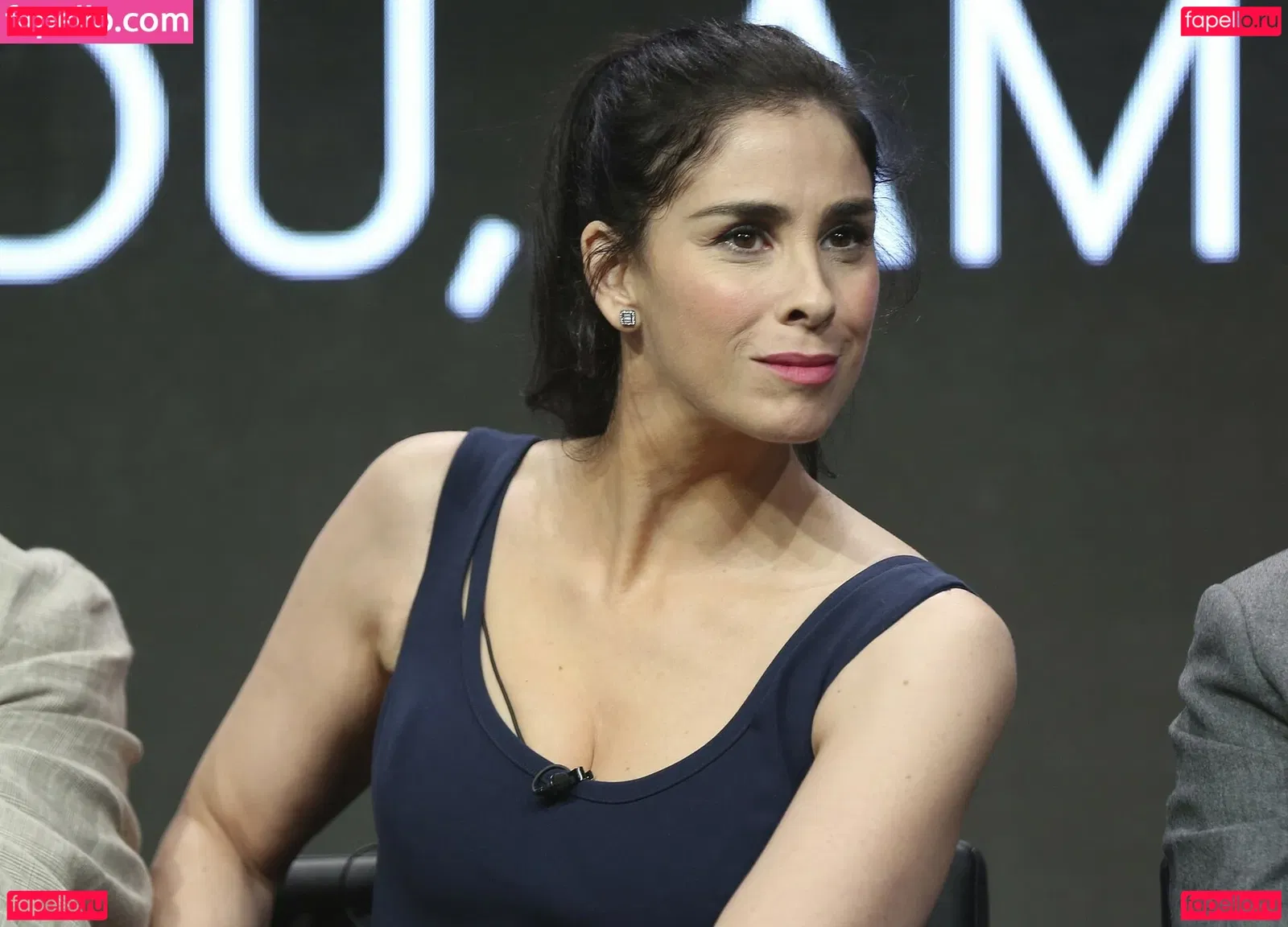 Sarah Silverman Onlyfans Photo Gallery 