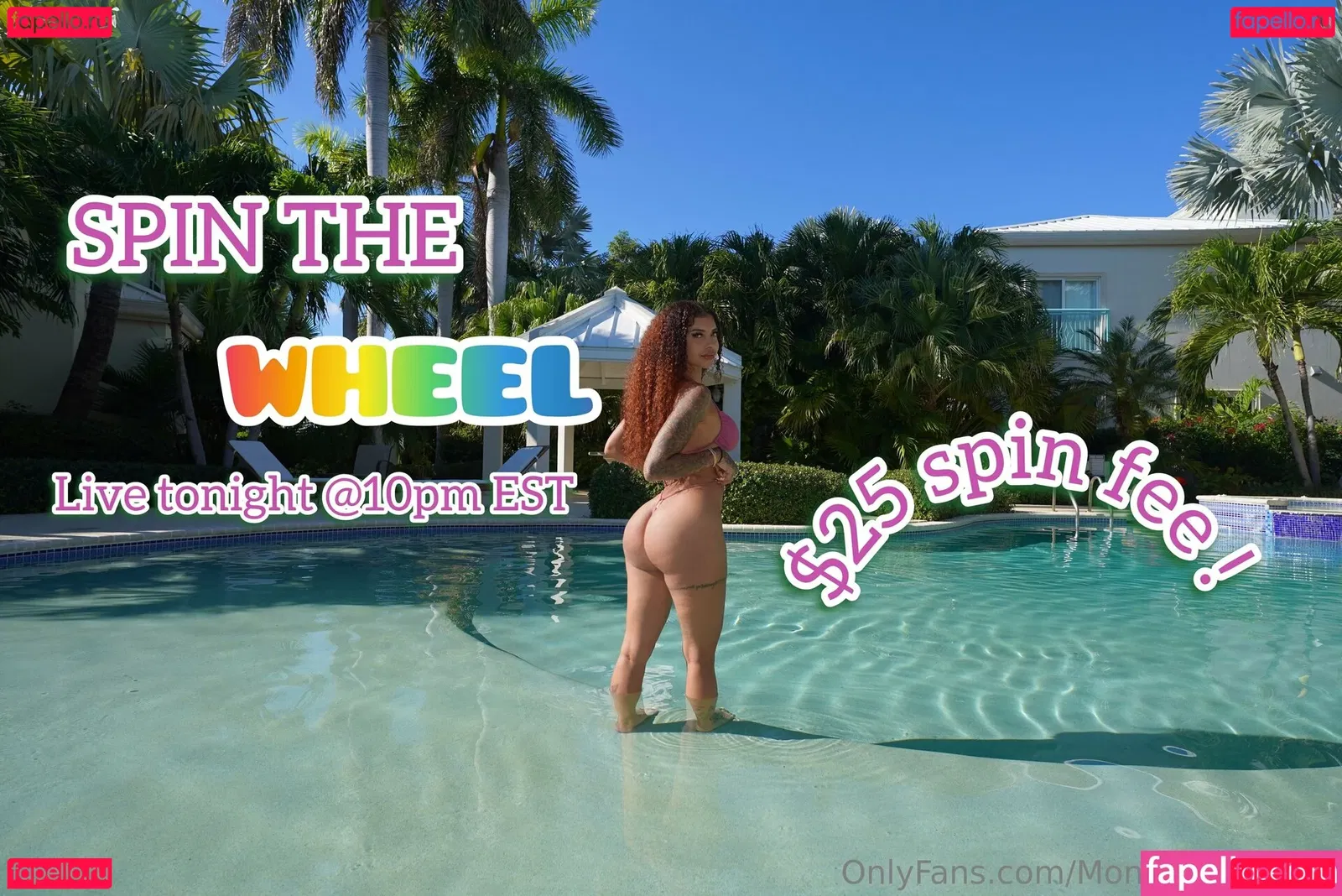 MoneyShotFilmz Onlyfans Photo Gallery 