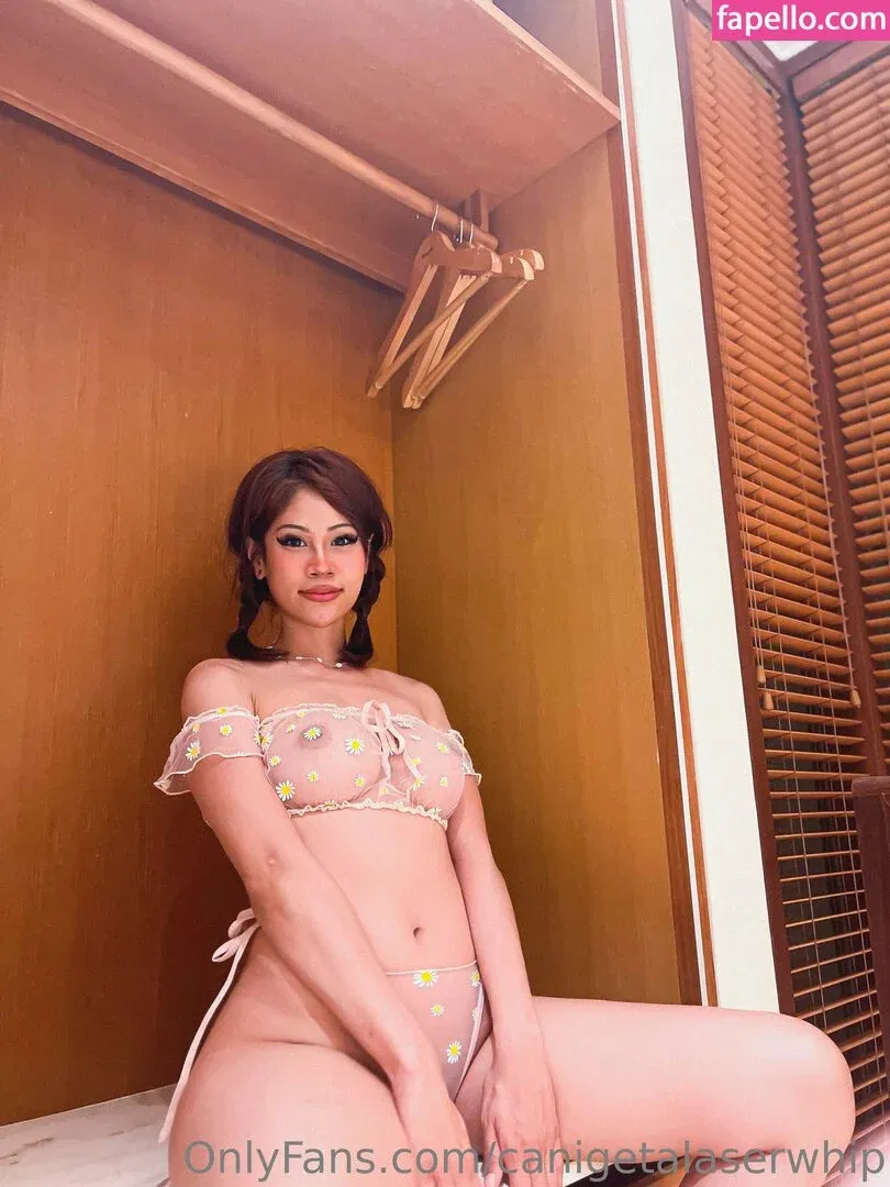 Canigetalaserwhip Onlyfans Photo Gallery 