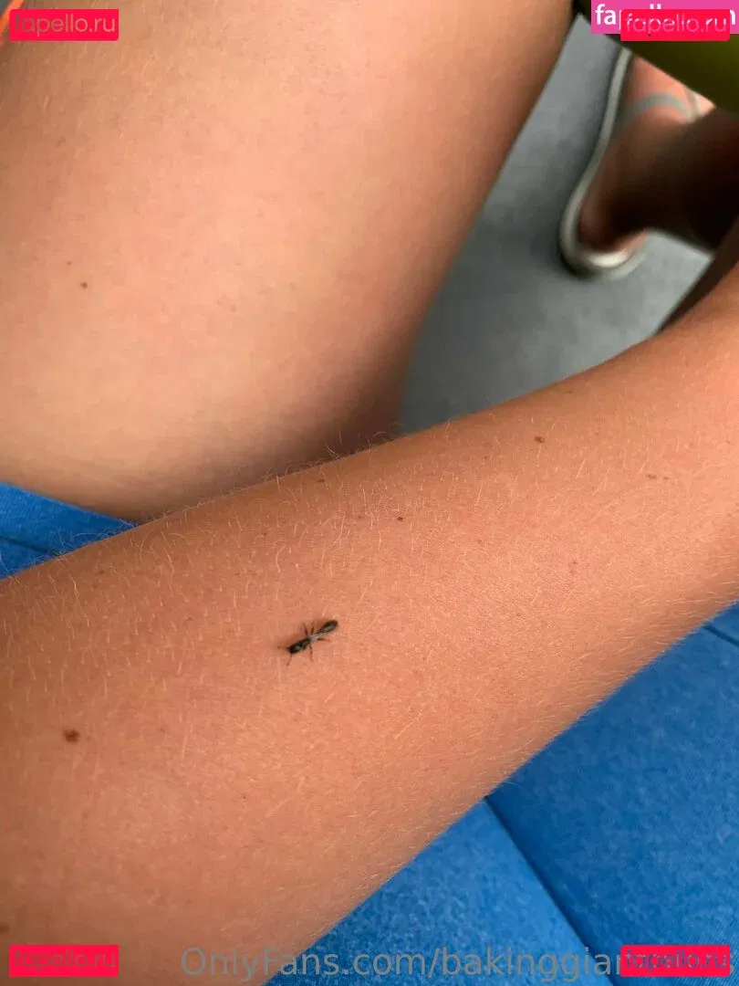 bakinggiantbuns Onlyfans Photo Gallery 