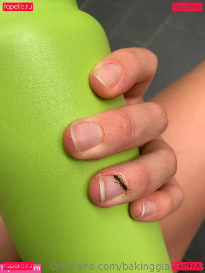 bakinggiantbuns Onlyfans Photo Gallery 